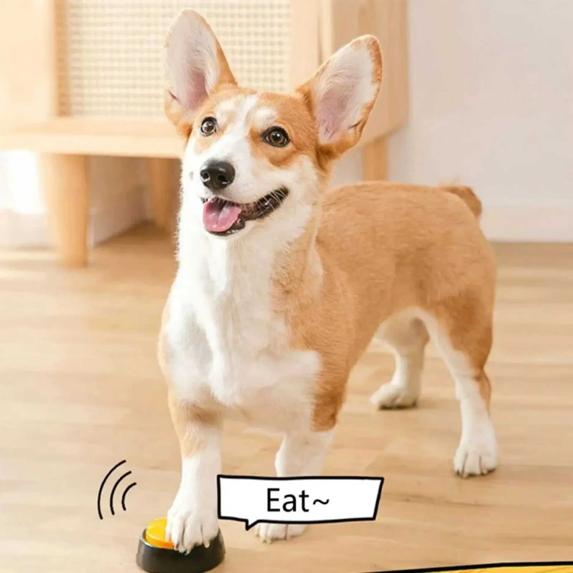 Dog Communication Buttons Voice Recording Button for Pet Training Buzzer Record Playback Funny Gift for Talking Pet