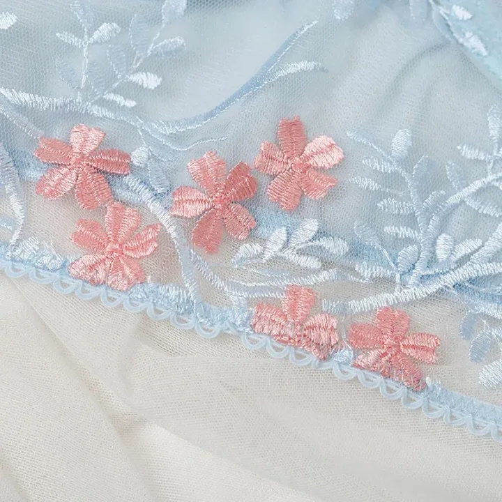Lace Floral Embroidery See Through Bra and Panties Set for Women Underwear Sexy Lingerie Female 2 Pieces Bra Brief Sets