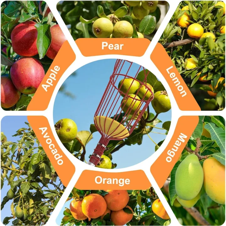 Fruit Picking Tools Farming Supplies New Novelty Tool Hand Garden Gardening Agriculture Picker Articles Collector Heand Tool