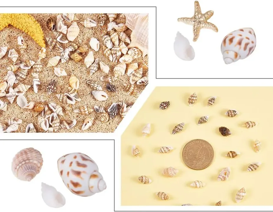 About 1500pcs Mixed Ocean Sea Shells Natural Seashells Spiral Shell Beads for Fish Tank Home Decor Beach Theme Party