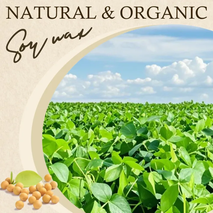 100g-1000g Natural Soy Wax DIY Handmade Candles Crafts Making Supplies 100% Additive-Free Wax Flakes Scented Candle Raw Material